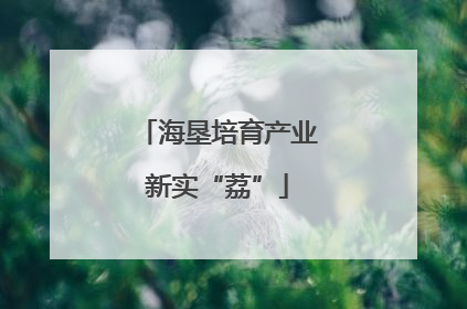 海垦培育产业新实“荔”